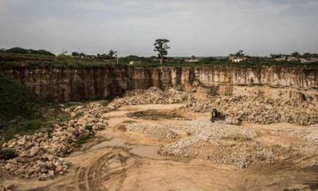 Déforestation: au Sénégal, une forêt de baobabs sacrifiée sur l’autel de l’industrialisation