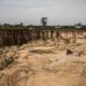 Déforestation: au Sénégal, une forêt de baobabs sacrifiée sur l’autel de l’industrialisation