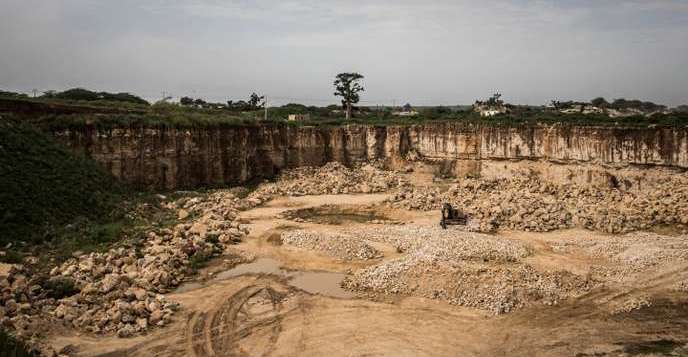 Déforestation: au Sénégal, une forêt de baobabs sacrifiée sur l’autel de l’industrialisation