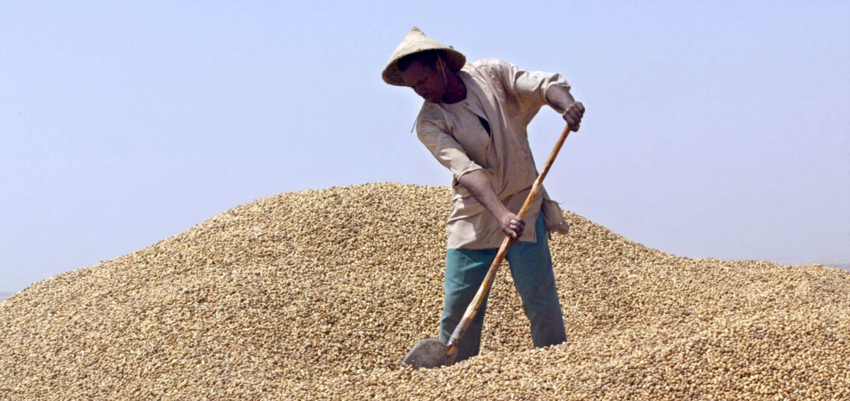 campagne arachidière sénégal