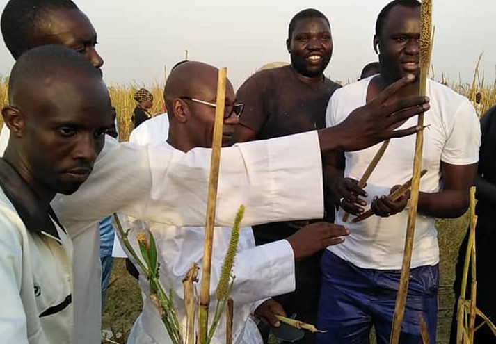 Khelcom 2019 : les Mourides prennent d'assaut les champs de Serigne Saliou Mbacké