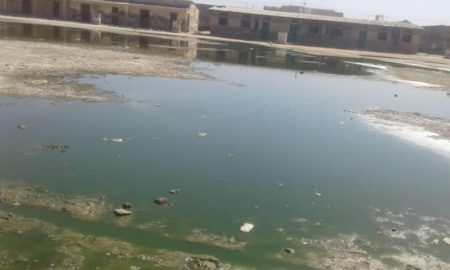 Kaolack : l'école Amadou Tanor Dieng submergée par les eaux usées