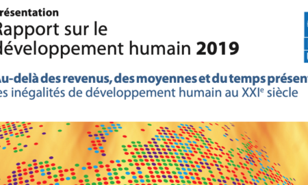 Couverture Indice de Développement Rapport Humain 2019