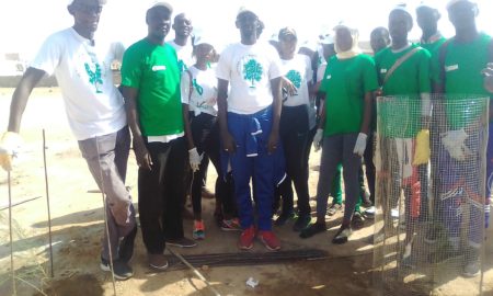 Écologie et cadre de vie : le Collectif Kaolack ville verte plante 50 arbres au lycée Valdiodio Ndiaye