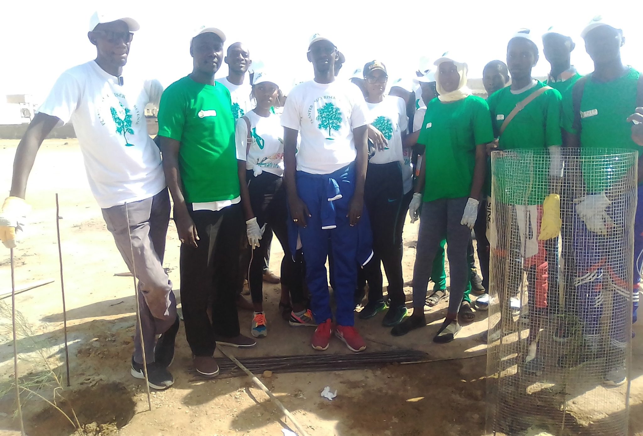 Écologie et cadre de vie : le Collectif Kaolack ville verte plante 50 arbres au lycée Valdiodio Ndiaye