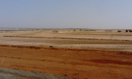 Baobolong (Nioro) : plus de 70.000 hectares cultivables sont perdues à cause de l'avancée du sel