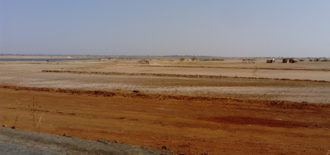 Baobolong (Nioro) : plus de 70.000 hectares cultivables sont perdues à cause de l'avancée du sel