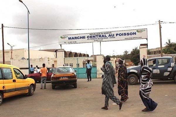 Marché central au poisson