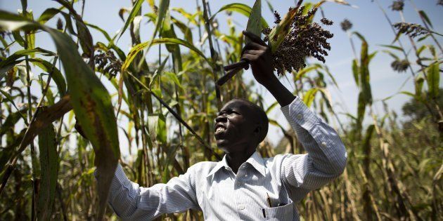 techniciens de l’agriculture