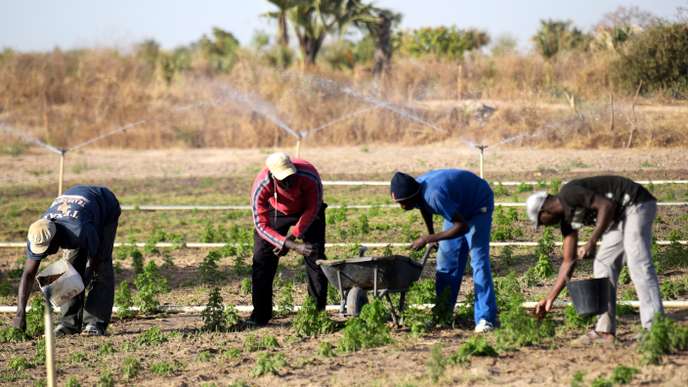 techniciens de l’agriculture