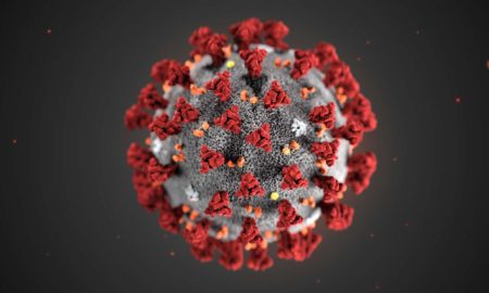 Coronavirus