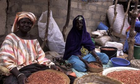 Des femmes qui travaillent dans l'arachides