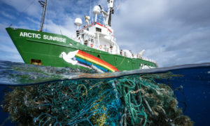 Greenpeace avertit le Sénégal : "l’octroi de licences à de nouveaux navires décime les poissons"