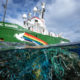 Greenpeace avertit le Sénégal : "l’octroi de licences à de nouveaux navires décime les poissons"
