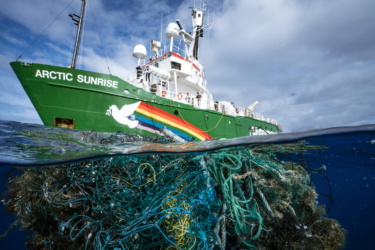 Greenpeace avertit le Sénégal : "l’octroi de licences à de nouveaux navires décime les poissons"