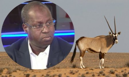 Abdou Karim Sall, ministre de l'environnement du Sénégal - Gazelles Oryx