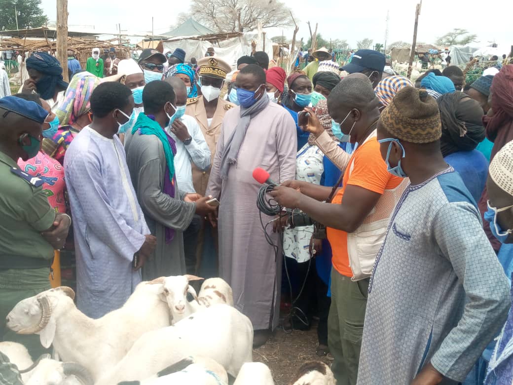 Tabaski : à 11 jours de la fête, Kaolack enregistre 28.000 têtes de mouton pour un besoin de 50.000