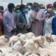 Tabaski : à 11 jours de la fête, Kaolack enregistre 28.000 têtes de mouton pour un besoin de 50.000