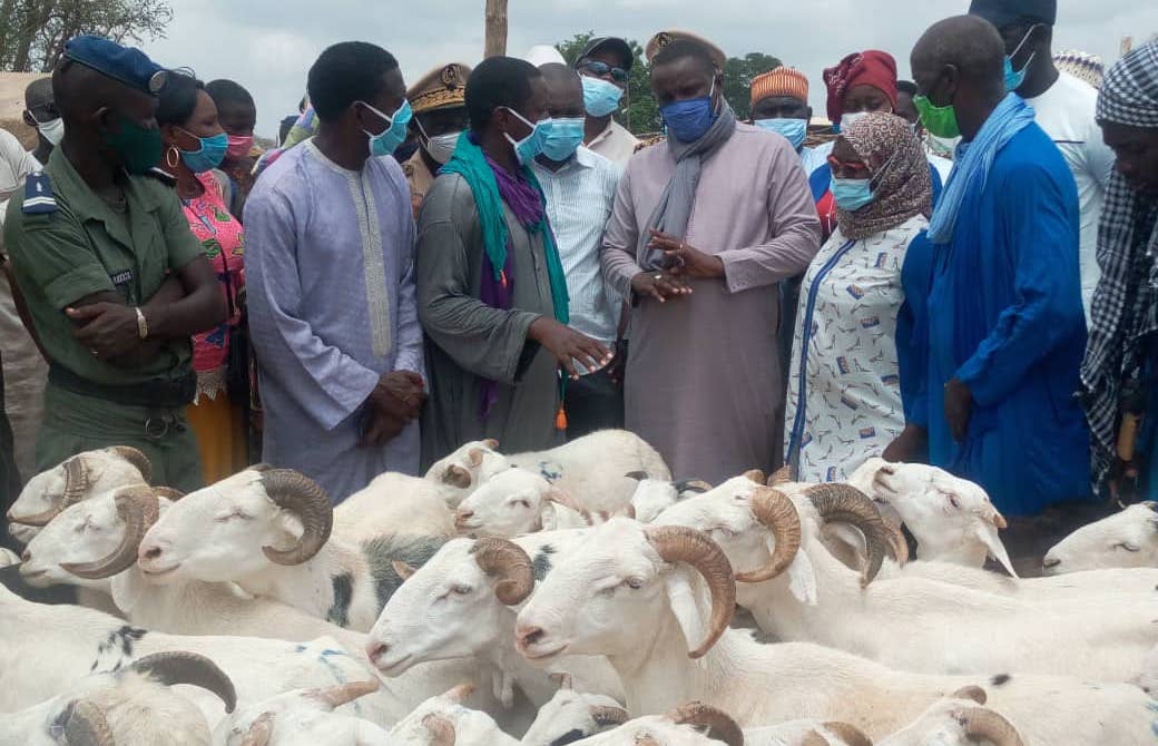 Tabaski : à 11 jours de la fête, Kaolack enregistre 28.000 têtes de mouton pour un besoin de 50.000