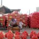 Un vendeur devant son stock d'oignon dans un marché à Dakar