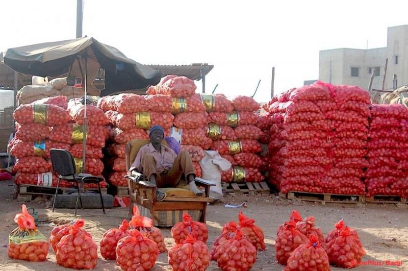 Un vendeur devant son stock d'oignon dans un marché à Dakar