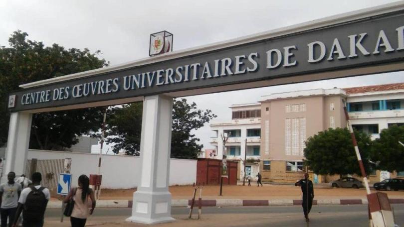 Université : voici le plan graduel de la reprise des enseignements (recteur)