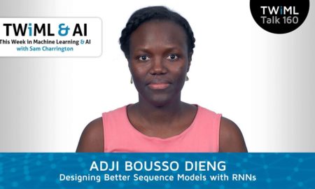 Sciences : la Kaolackoise Adji Bousso Dieng, chercheuse en IA, première professeure noire de la Princeton School of Engineering