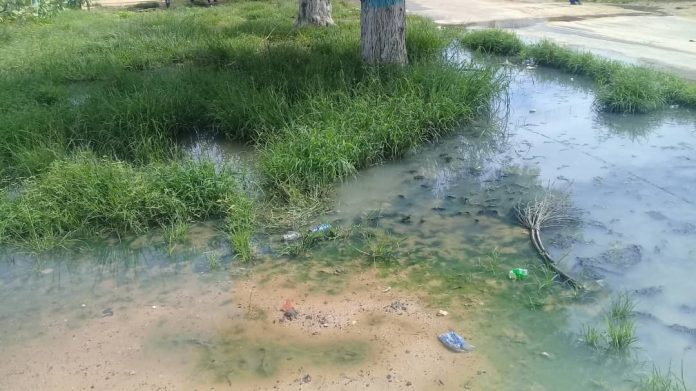 Kaolack : ruissellement des eaux sceptiques du quartier, Bongré dans la rue