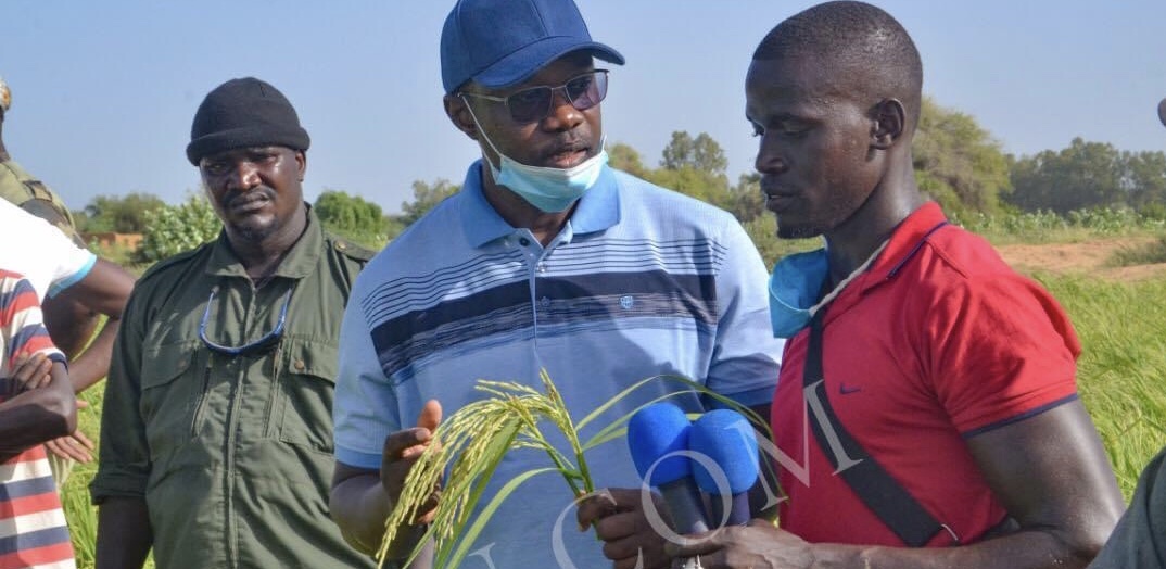 «Ousmane Sonko joue avec le feu» : les Apristes de la Casamance avertissent le leader de Pastef