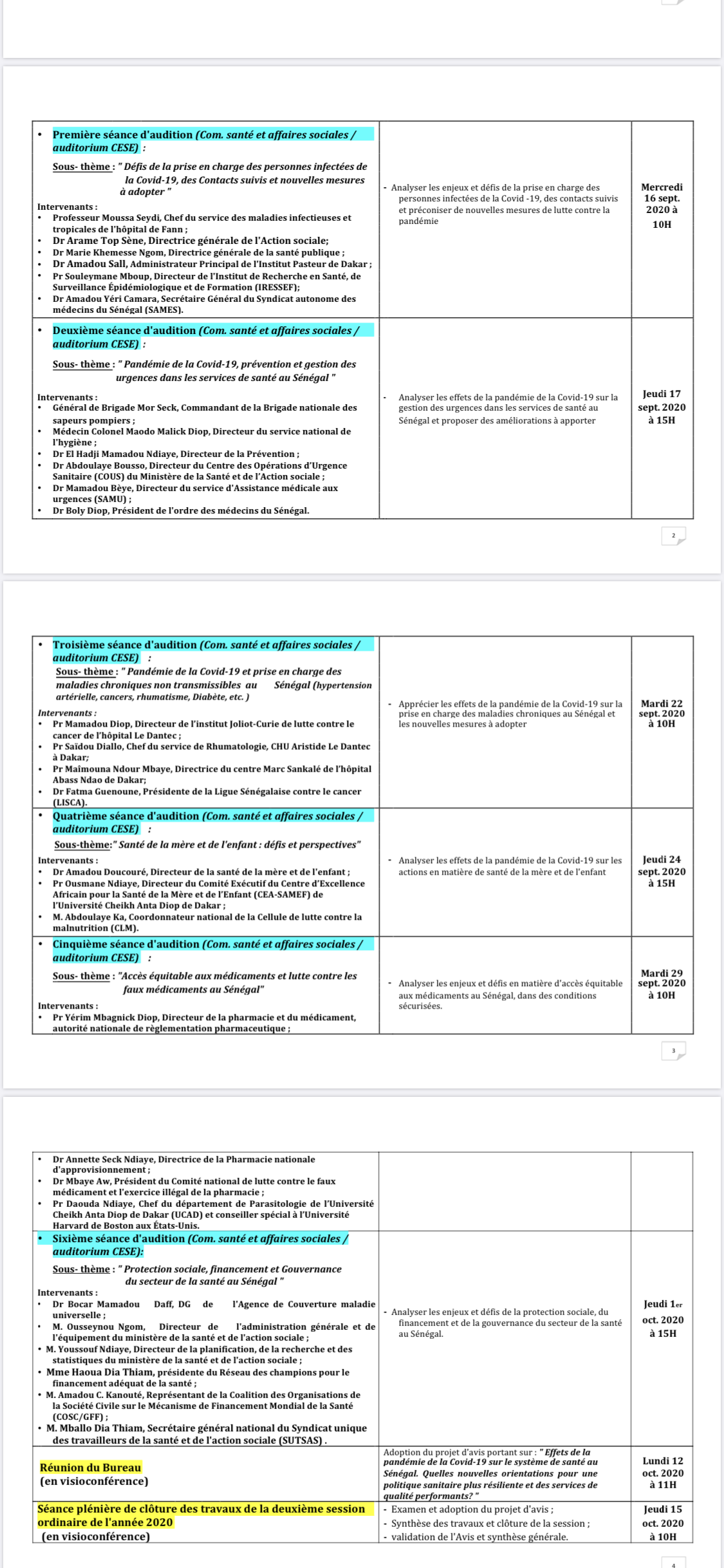 Session Ordinaire du Cese : les effets de la Covid 2019 sur notre système de santé au menu