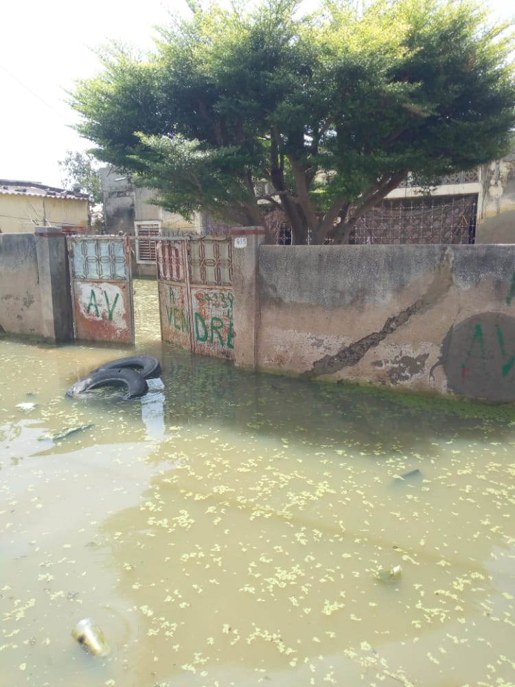 [Reportage] Inondations à Kaolack : à Gawane, la population entre colère et désolation, avertit les politiciens