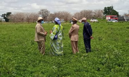 Sibassor : les premières images de la tournée économique du président Macky Sall