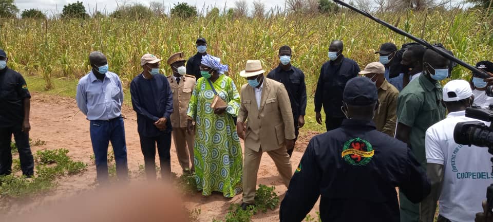 Sibassor : les premières images de la tournée économique du président Macky Sall