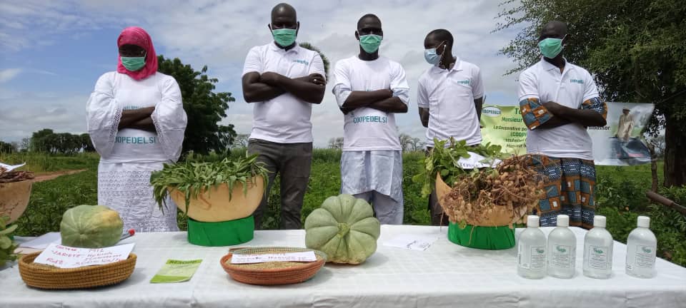 Sibassor : les premières images de la tournée économique du président Macky Sall