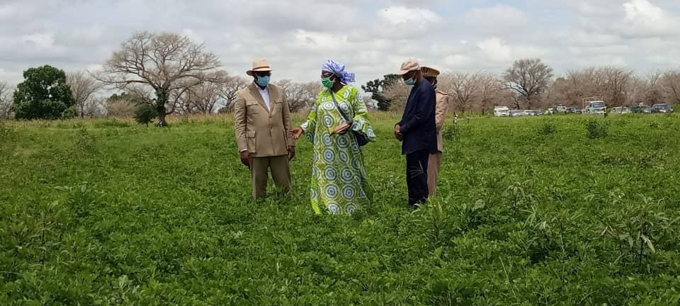 Sibassor : les premières images de la tournée économique du président Macky Sall