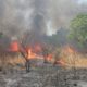 feu de brousse - Incendie