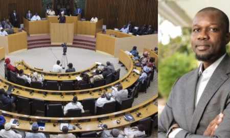 Dates, délais et procédures : tout sur le processus de levée de l'immunité parlementaire de Ousmane Sonko