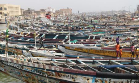 Pirogues utilisées par les pêcheurs à Saint-Louis, Sénégal. Photo : Shanna Jones
