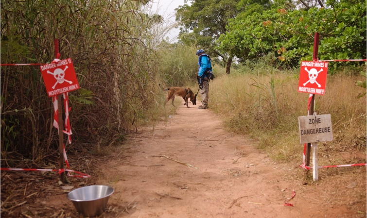 Déminage en Casamance - mines .jpg