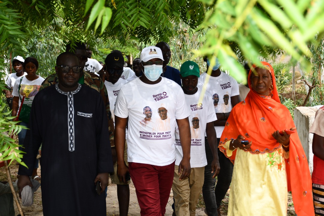 "Wadjal Ubbite ekol bi" : l'initiative de l'Espoir du Baol Pape Modou Fall a porté ses fruits