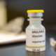 Lutte contre le Paludisme : l'Oms recommande officiellement le vaccin RTS,S/AS01