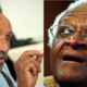 [Tribune] Pierre Rabhi, Desmond Mpilo Tutu : nos deux frères de conscience - Par El Hadji Thiam
