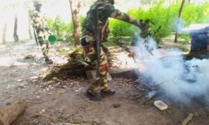 deux soldats sénégalais lors d'une opération de destruction de champs de chanvre indien à Djibidione en Basse-Casamance