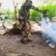 Djibidione : plusieurs champs de chanvre indien détruits par l'Armée nationale