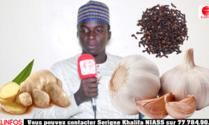 Serigne Khalifa Niass