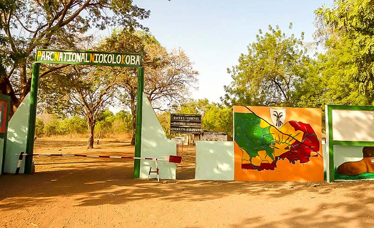 Tamba : 3 personnes meurent dans un accident au Parc Niokolokoba