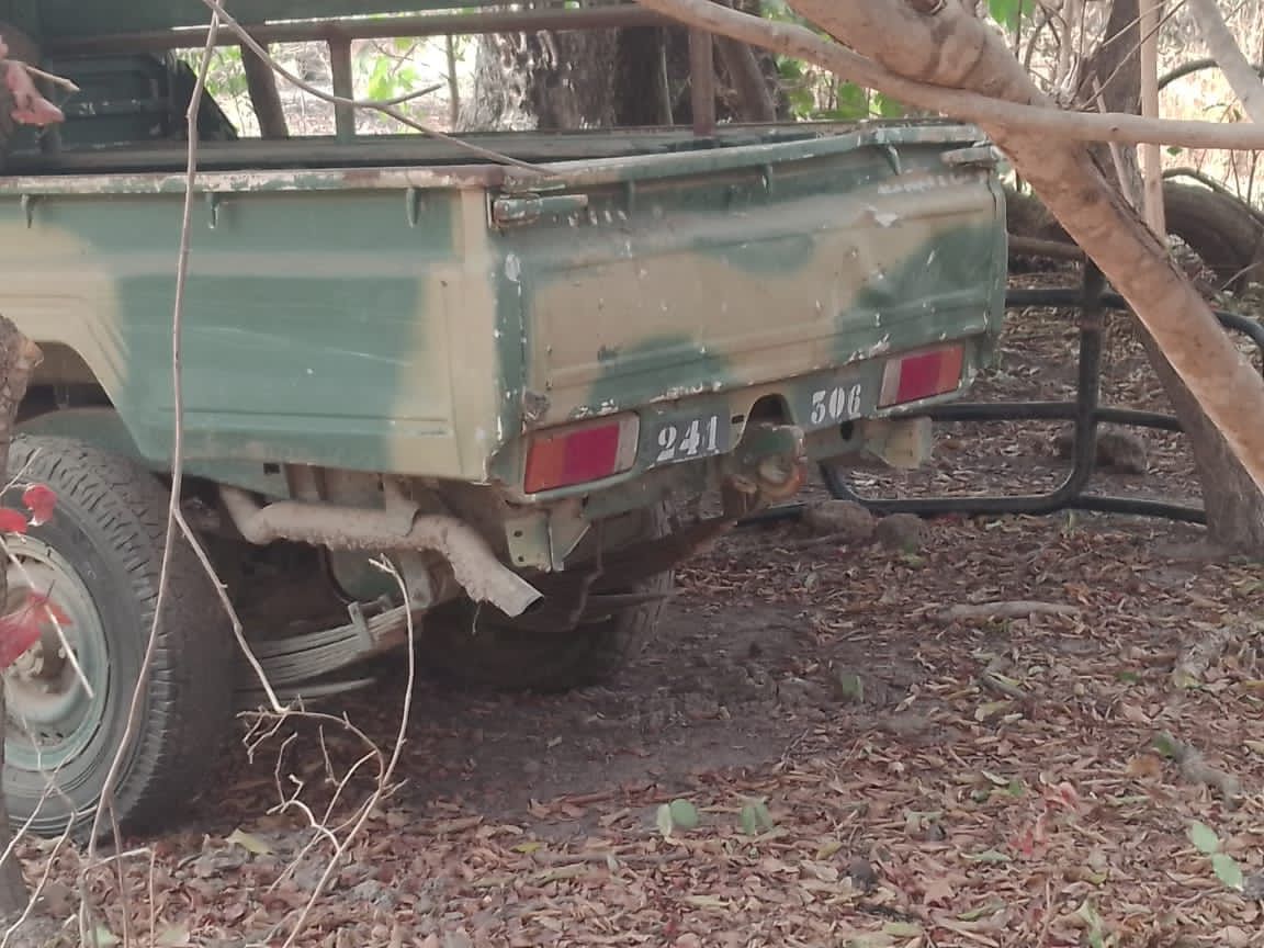 Opérations contre le Mfdc : l'Armée sénégalaise fait un premier bilan officiel