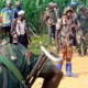 RDC : 18 personnes tuées mardi par une milice à Kilo