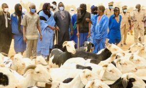 Moutons de Tabaski : importante décision du Sénégal pour les éleveurs mauritaniens