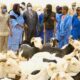 Moutons de Tabaski : importante décision du Sénégal pour les éleveurs mauritaniens